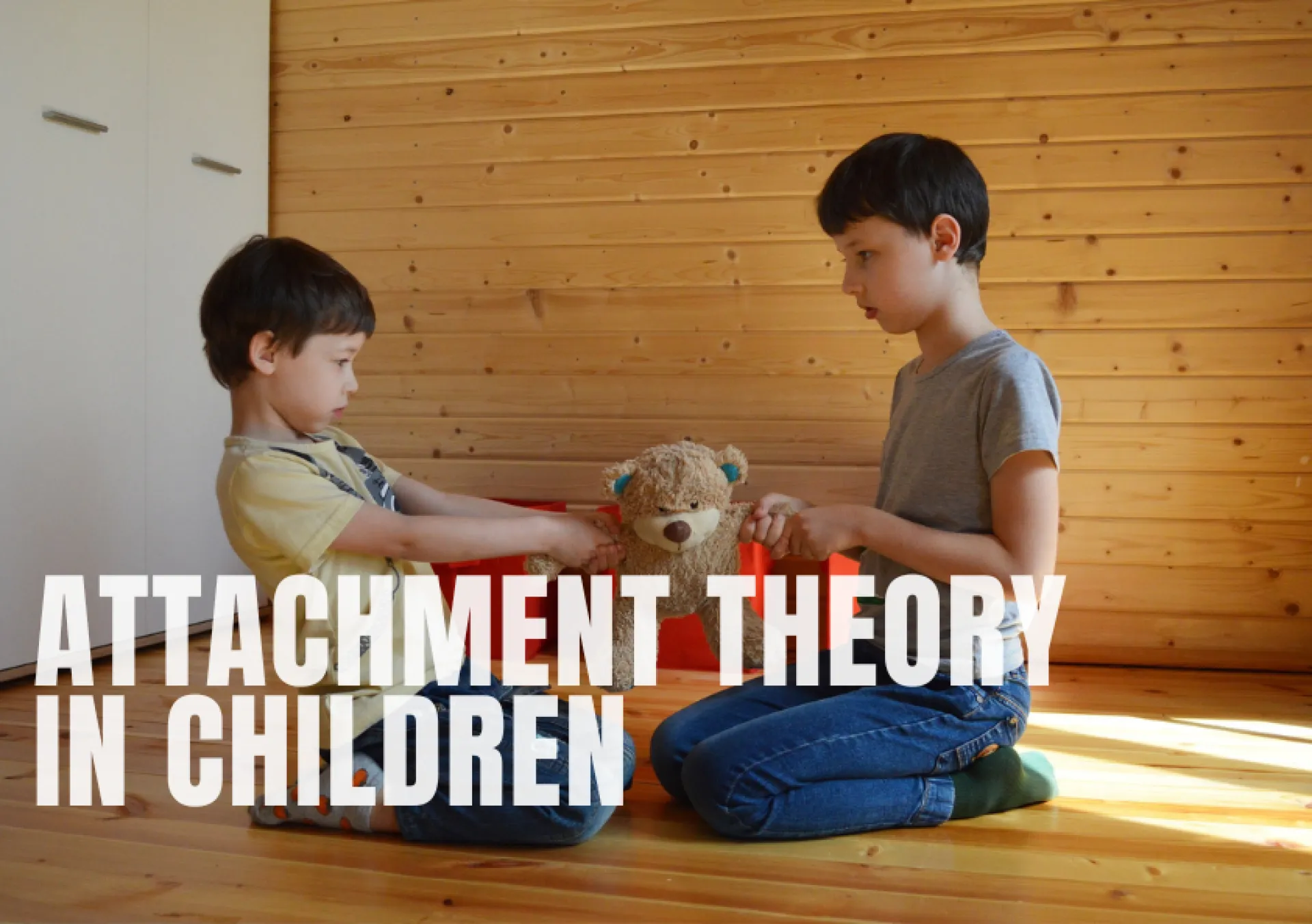 Attachment Theory in Children: What Parents Should Know